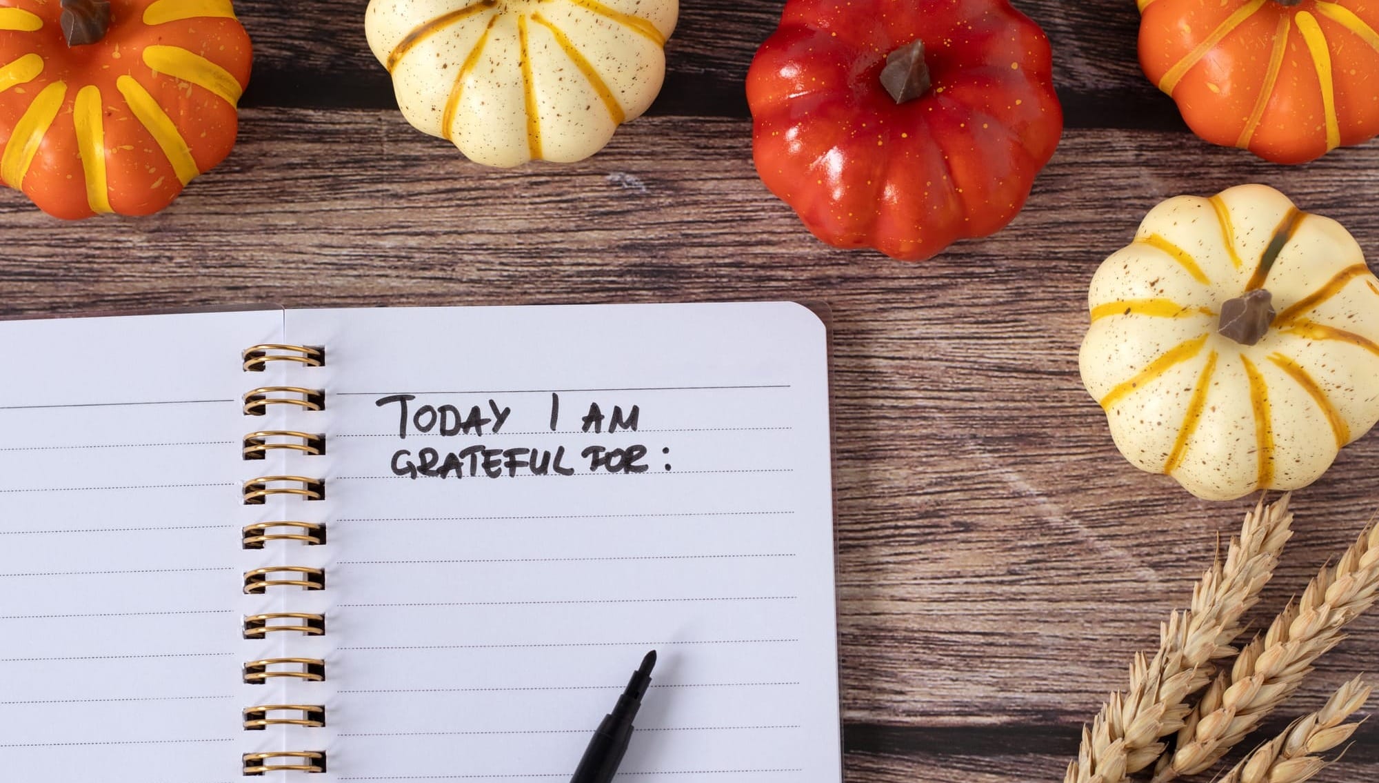 An Attitude of Gratitude